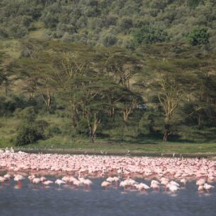 Lake Nakuru National Park