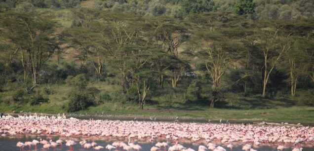 Lake Nakuru National Park