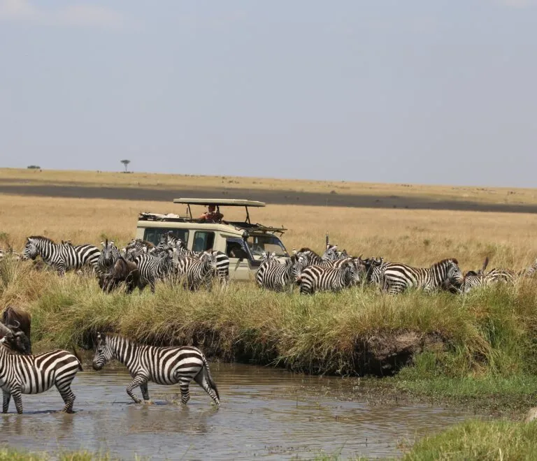 Blog - Adventure Backpackers Tanzania Ltd Blog - Adventure Backpackers Tanzania Ltd